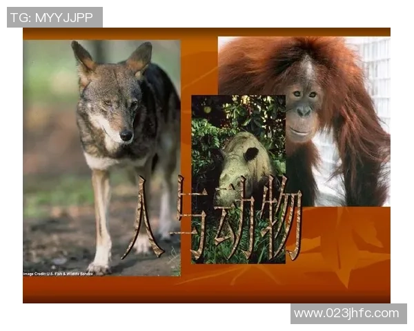 足球场上的猴头奇遇记一场人与动物的精彩碰撞与友谊的故事